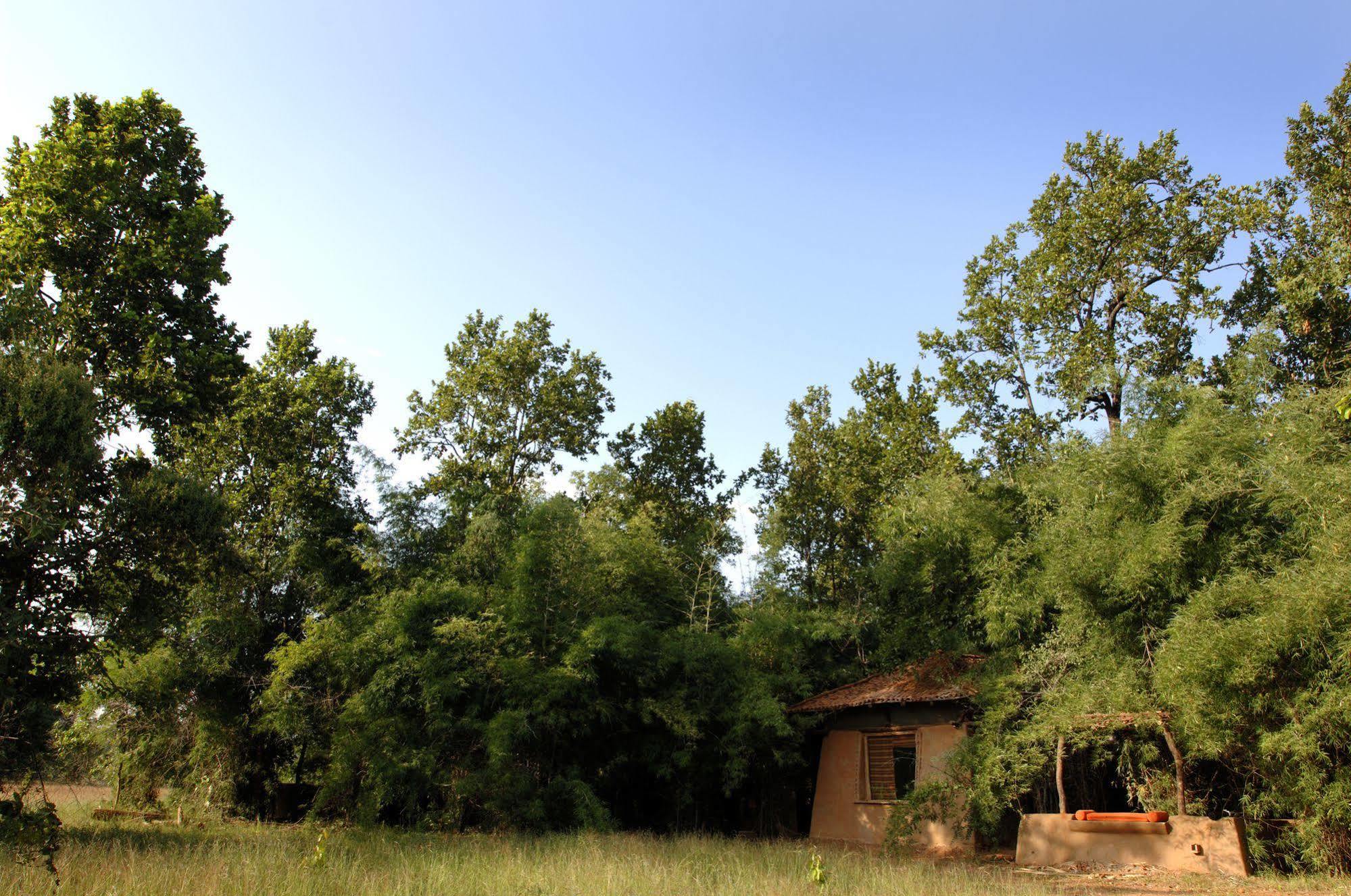 Mahua Kothi, Bandhavgarh National Park Hotel Tāla Buitenkant foto